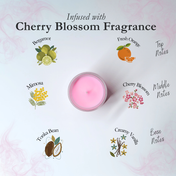 Scent Discovery Set
