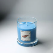 Ocean Odyssey - Medium Jar