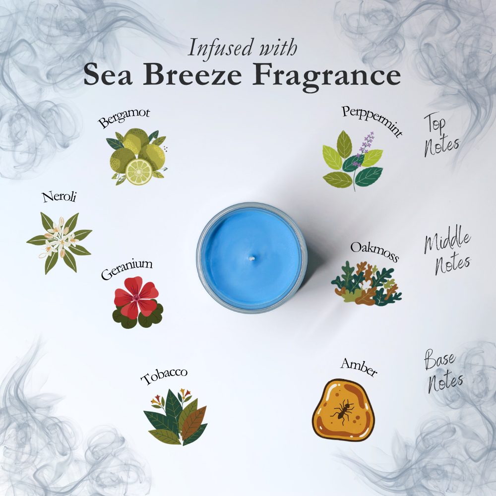 Scent Discovery Set