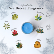 Scent Discovery Set