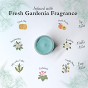 Scent Discovery Set