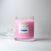 Fuji in Bloom - Medium Jar (165g)