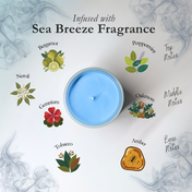 Ocean Odyssey - Medium Jar